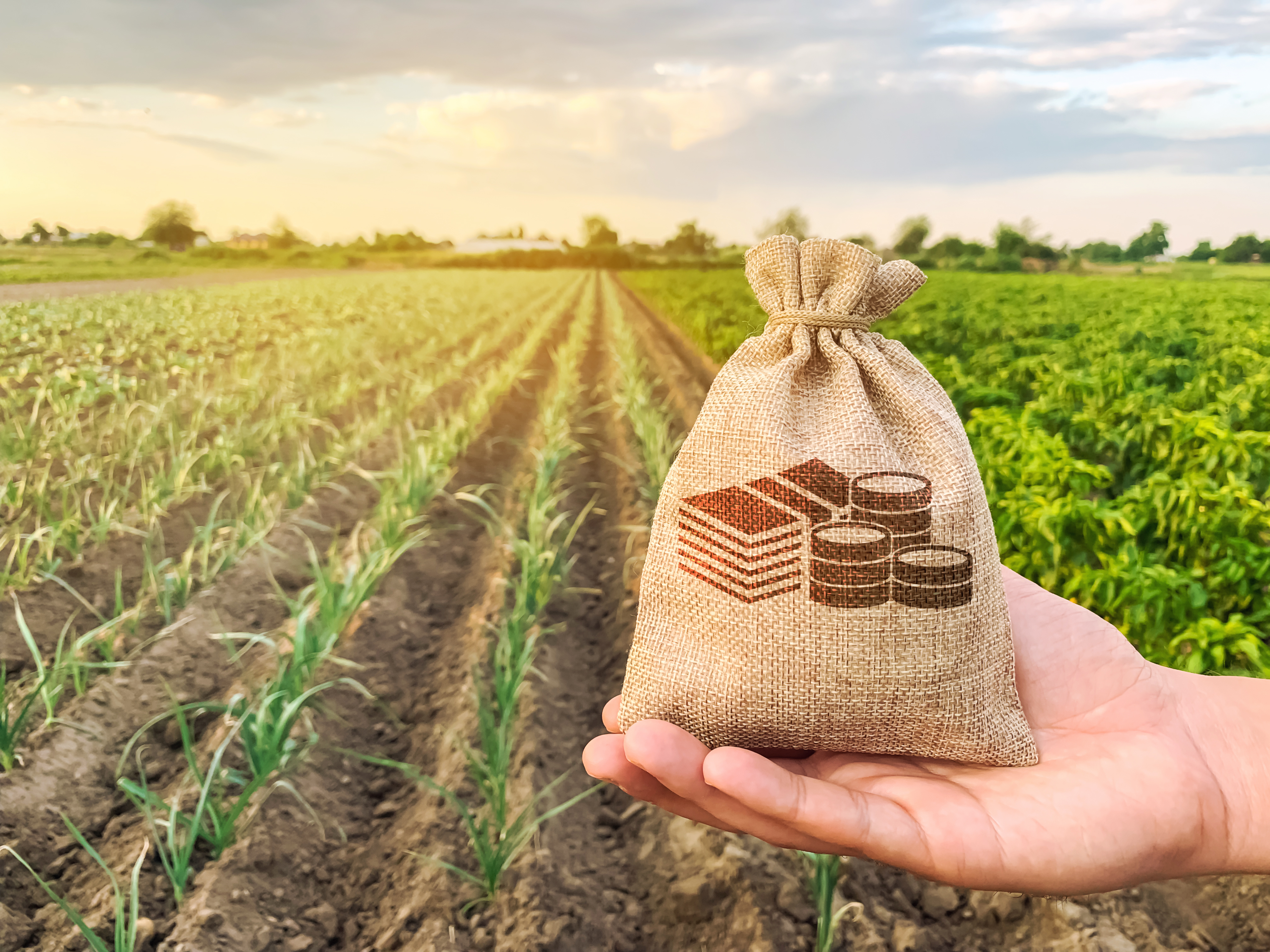 Agri finance